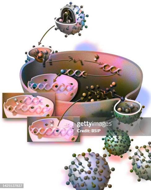 aids virus infection drawing - lentivirus stock illustrations