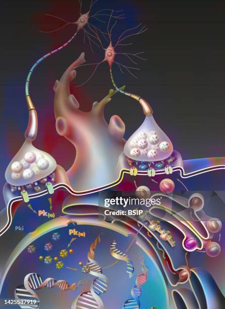 synapse - synaptic cleft stock illustrations