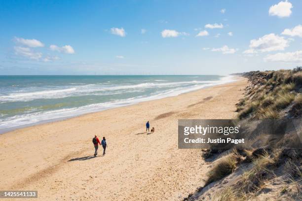 drone view of a family taking their dog for a walk on a bright sunny autumnal day - norfolk england stock-fotos und bilder