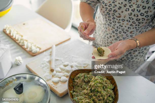 unrecognisable woman preparing homemade chinese dumplings - savory food - fotografias e filmes do acervo