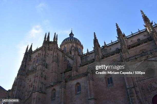 low angle view of cathedral against sky,salamanca,spain - lancet arch fotografías e imágenes de stock