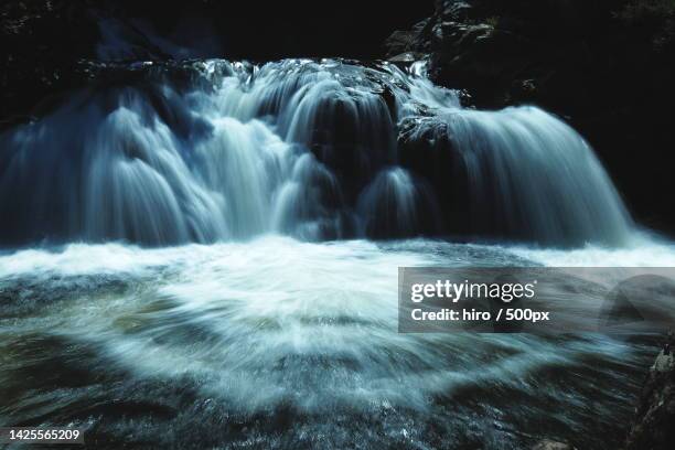 scenic view of waterfall in forest,nakano,japan - 滝 ストックフォトと画像