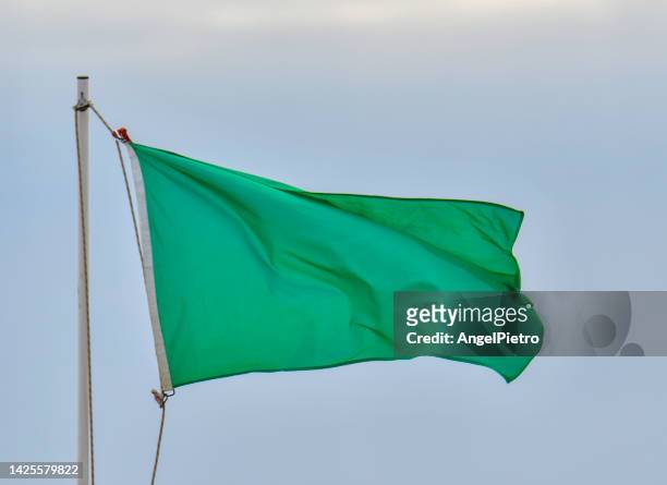 green flag - ビーチフラッグ ストックフォトと画像