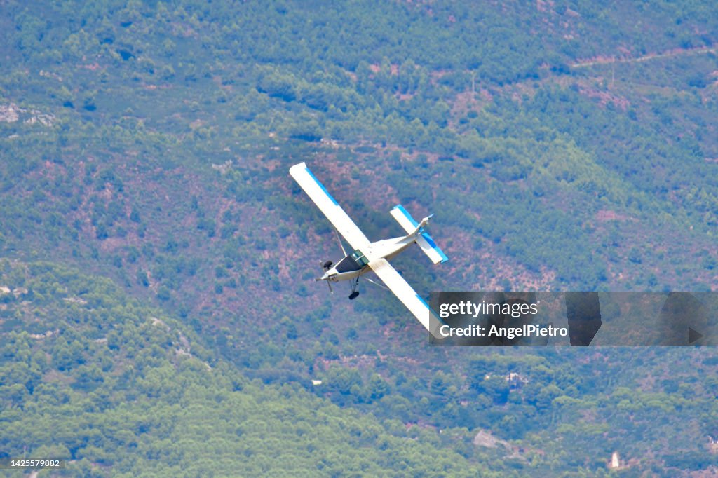 Flying over the forest