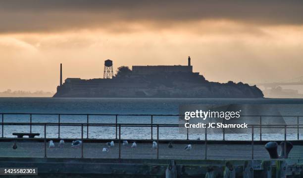 alcatraz island at dawn - alcatraz stock pictures, royalty-free photos & images