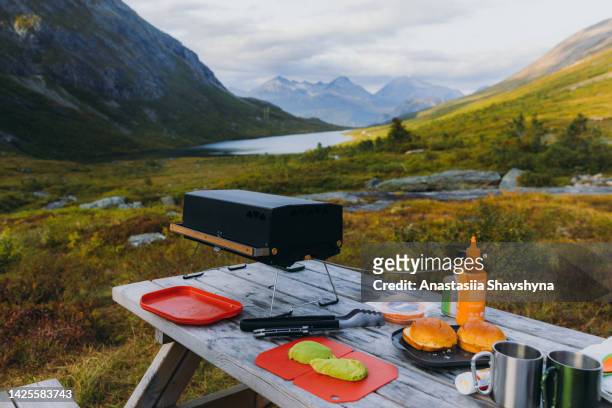 picnic with a view! - bbq avocado imagens e fotografias de stock