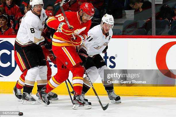 Akim Aliu of the Calgary Flames skates against Teemu Selanne and Saku Koivu of the Anaheim Ducks on April 7, 2012 at the Scotiabank Saddledome in...