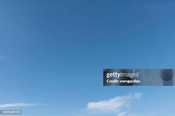 white colour clouds against blue sky - klar himmel bildbanksfoton och bilder