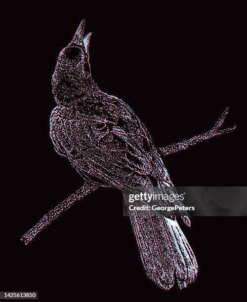crow perching on branch and glitch technique - raven stock illustrations