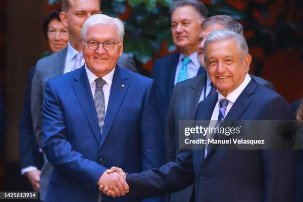 President of Germany Frank-Walter Steinmeier shakes hands with President of Mexico Andres Manuel Lopez Obrador as part of an official visit to Mexico...