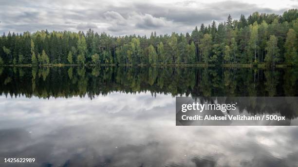 scenic view of lake by trees against sky,harju county,estonia - baltic states stock pictures, royalty-free photos & images