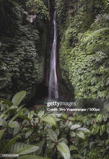 scenic view of waterfall in forest,tondon mamullu makale tana toraja regency,south sulawesi,indonesia - celebes stock pictures, royalty-free photos & images