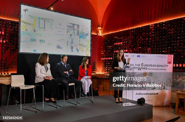 Presenter delivers remarks onstage about different wines to journalists attending the presentation to the press of the new European campaign of Wines...