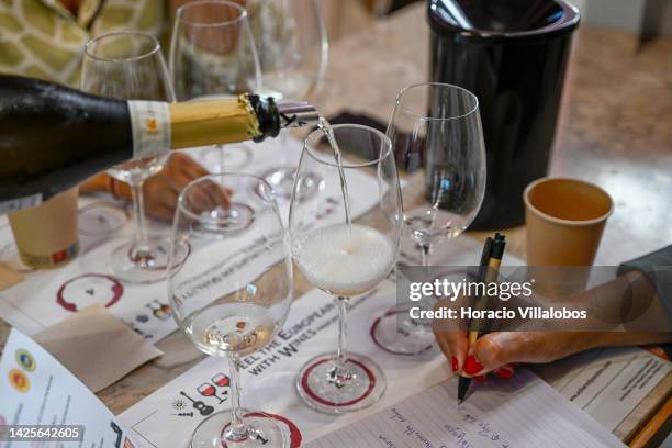 Wine is being served to a participant taking notes during a presentation to the press of the new European campaign of Wines of Spain and Portugal by...