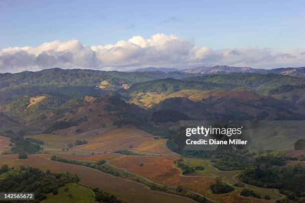 aerial view near santa rosa, ca - santa rosa california stock pictures, royalty-free photos & images