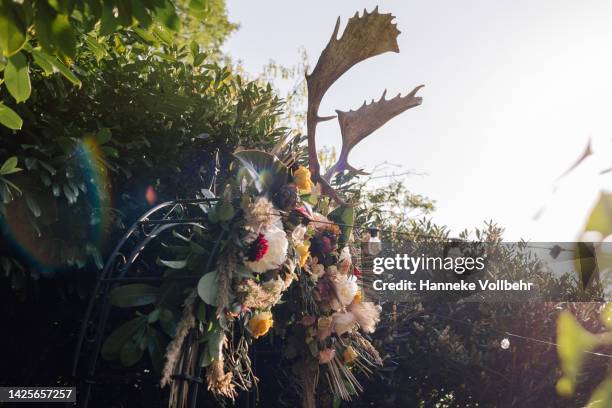 wedding arch with a large centerpiece decorated with flowers and deer antlers. - bruiloft - fotografias e filmes do acervo