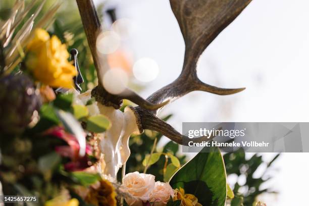 close up of deer antlers in a flower centerpiece - bruiloft - fotografias e filmes do acervo