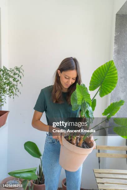 young woman gardening on an apartment terrace - 25 january stock pictures, royalty-free photos & images