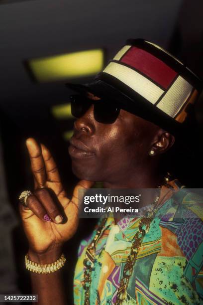 Shabba Rinx Jamaican Dancehall artist Shabba Ranks appears in a portrait taken on ...