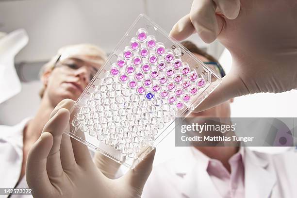 genetic engineers holding a mocrotiter plate - pesquisa genética - fotografias e filmes do acervo