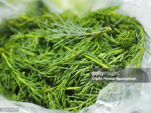 indigofera tinctoria green leaves in plastic bag, leguminosae - indigo plant stockfoto's en -beelden