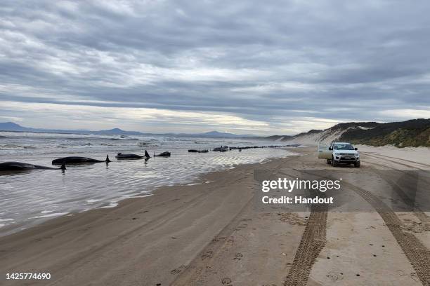 In this handout image provided by Huon Aquaculture, whales are seen beached along the shoreline on September 21, 2022 in Strahan, Australia. Hundreds...