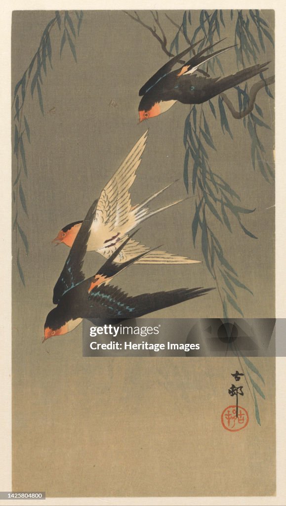 Three Red-Rumped Swallows In A Dive