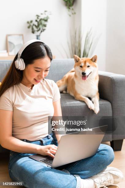 beautiful young woman sitting on the floor watching a movie with her laptop next to dog. - young & beautiful film stock pictures, royalty-free photos & images