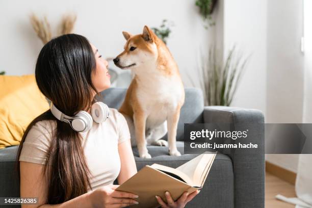 beautiful young woman sitting on the floor reading a book while her dog seeks her attention. - hairy asian stock pictures, royalty-free photos & images