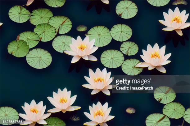 water lillies - seamless pattern - nenúfar imagens e fotografias de stock