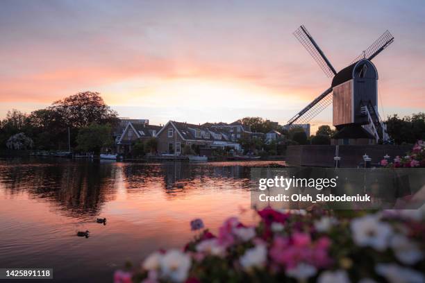 windmill in leiden at sunset - amsterdam night stock pictures, royalty-free photos & images