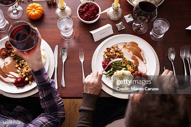 overhead of two men eating holiday meal - thanksgiving plate of food fotografías e imágenes de stock