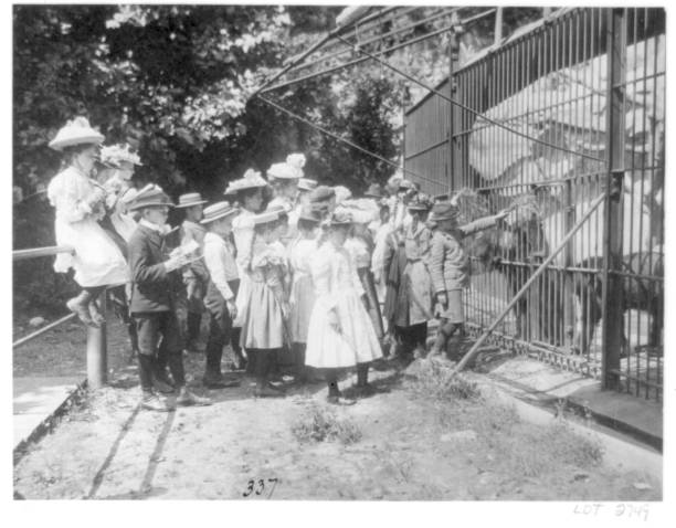 Group of public school children looking at bears in the National Zoo, Washington, D.C., . Artist Frances Benjamin Johnston.