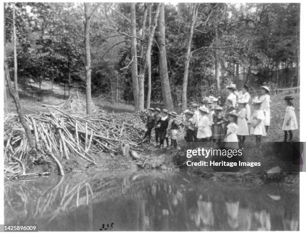 Group of public school children looking at beaver dam in the National Zoo, Washington, D.C., . Artist Frances Benjamin Johnston.