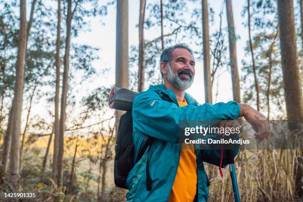 active man enjoying outdoors excursion walking - hiking pole stock pictures, royalty-free photos & images