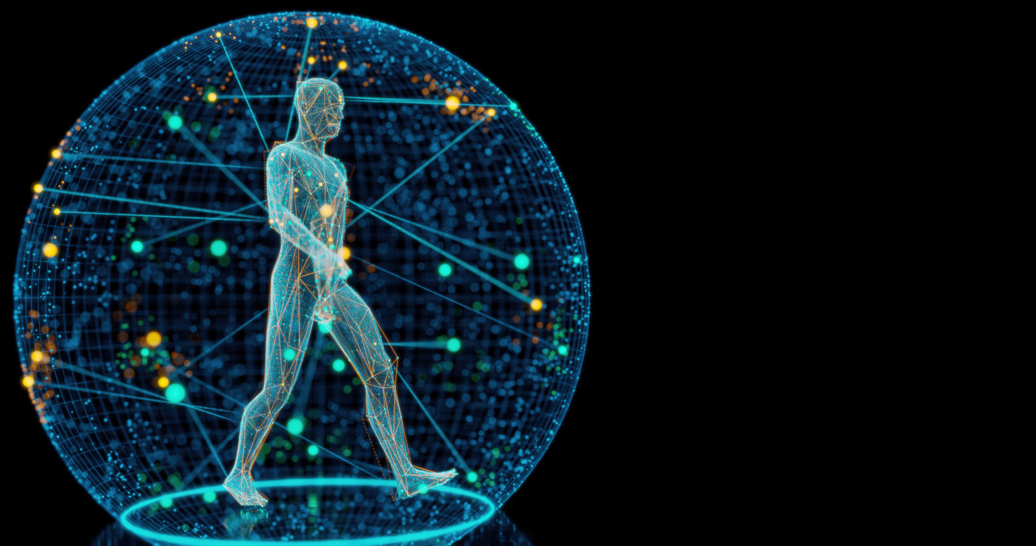 3d motion analysis