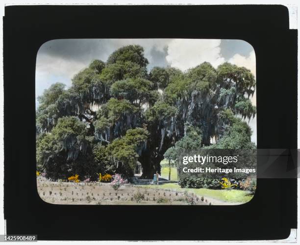 Middleton Place, John Julius Pringle Smith house, 4300 Ashley River Road, Charleston, South Carolina, 1928. House: Original house burned in 1865; a...