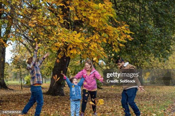 herbstmuster - asian family fall stock-fotos und bilder