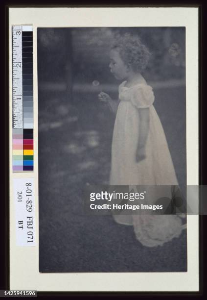 Dandelions, circa 1900. Photograph shows a little girl wearing a long white dress blowing on a dandelion. Artist Ema Spencer.