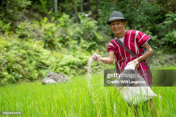 Throwing Rice Photos and Premium High Res Pictures - Getty Images