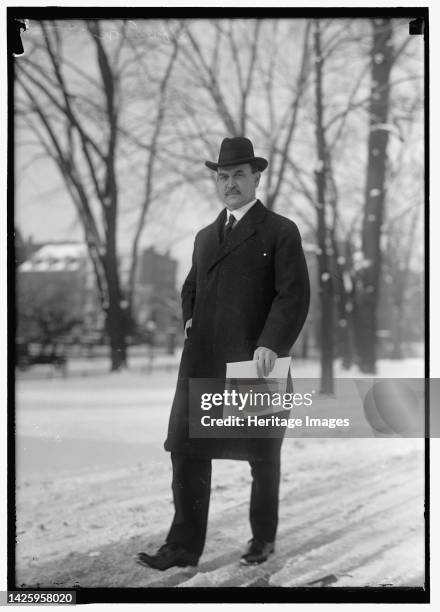 David Franklin Houston, Secretary of Agriculture, between 1914 and 1918. American politician David F. Houston also served as Secretary of the...