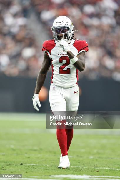 Marquise Brown of the Arizona Cardinals lines up during an NFL football game between the Las Vegas Raiders and the Arizona Cardinals at Allegiant...