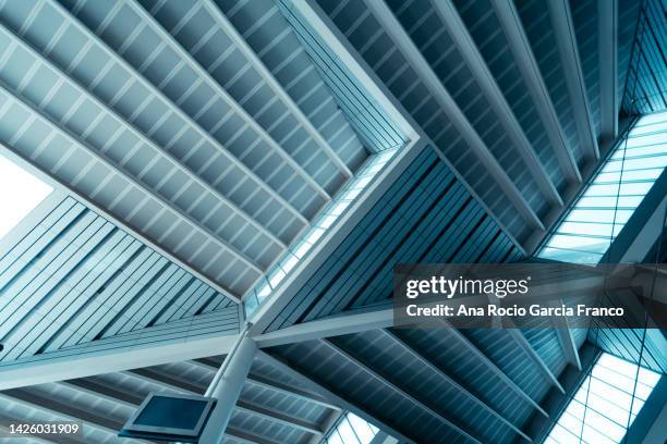 train station ceiling - 航空関連施設 ストックフォトと画像