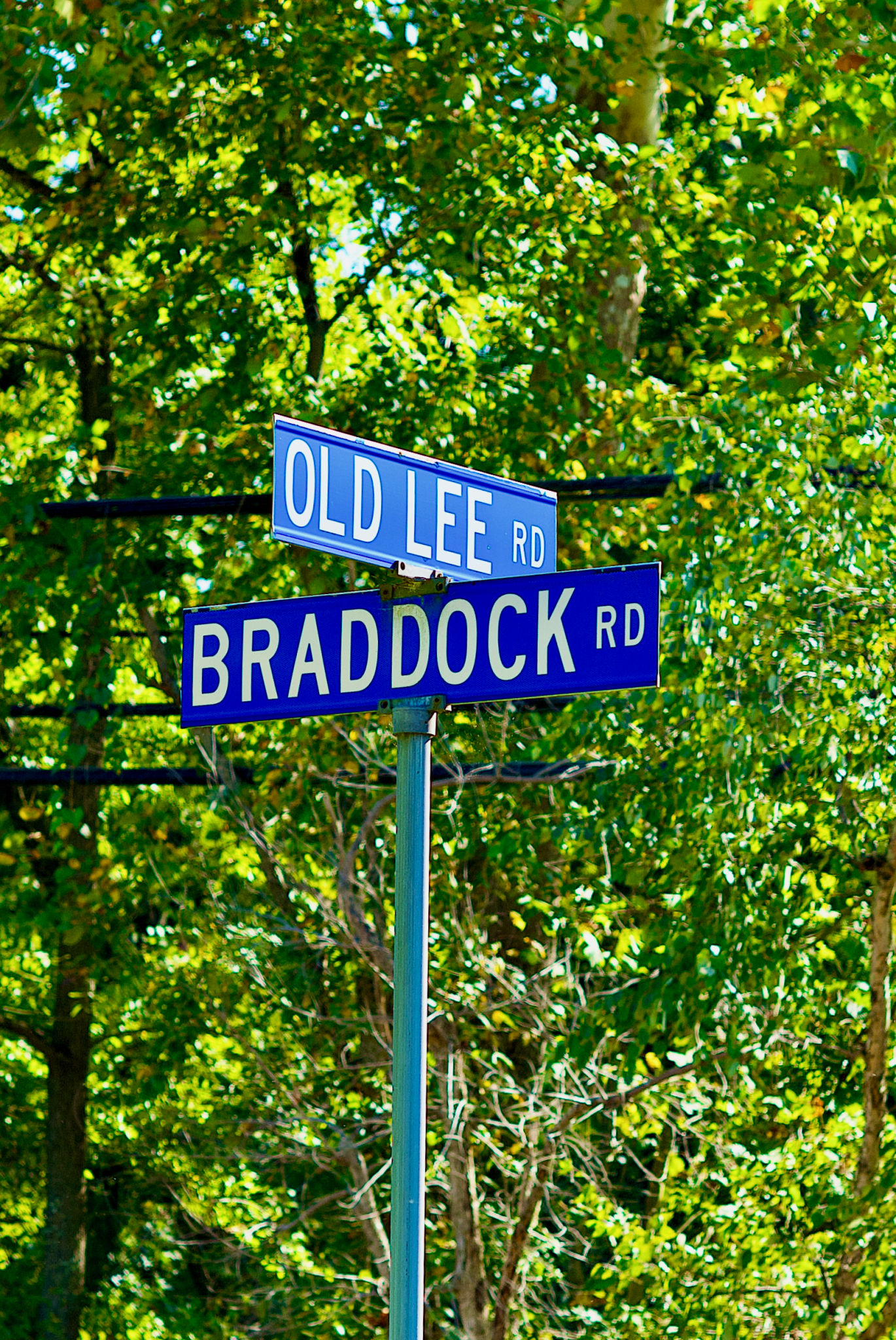 dmv neighborhood