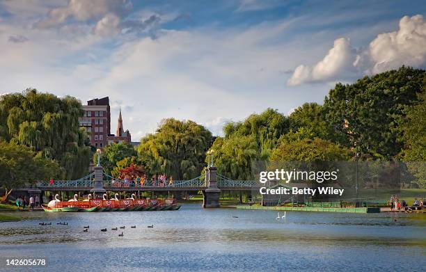 boston public garden - boston garden stockfoto's en -beelden