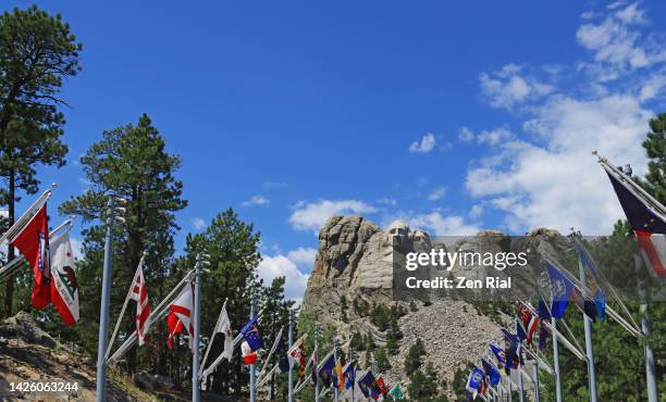 avenue of flags with mount rushmore in the background - state flags stockfoto's en -beelden