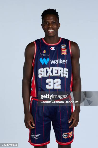 Fiston Apasio 292 Adelaide 36ers Headshots Session Stock Photos, High-Res Pictures ...