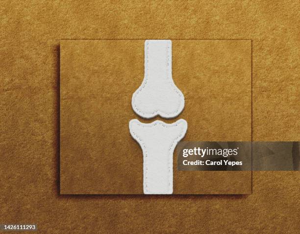human bone joint made of white felt.conceptual image - meniscus stock pictures, royalty-free photos & images
