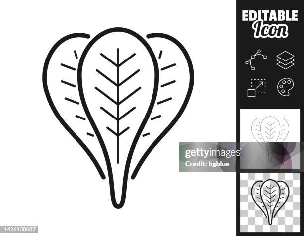 spinach. icon for design. easily editable - spinach stock illustrations