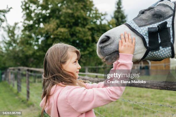 605 Animal Assisted Therapy Photos and Premium High Res Pictures - Getty Images 605 Animal Assisted Therapy Photos and Premium High Res Pictures - Getty Images